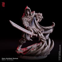 720X720-b38-single-hero-fjorn-hexblade-warlock