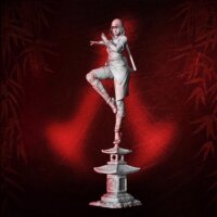 SHOWCASE-1-transformed