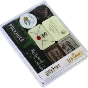 Harry Potter Hogwarts artifacts epoxy magnet set