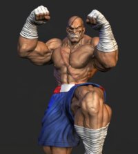 sagat-3d-model-d928e39fc8-transformed